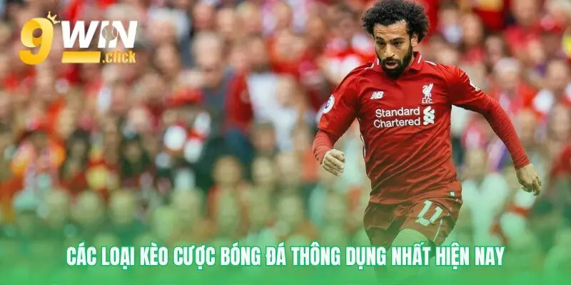 Các loại hình cược cơ bản mà bạn cần biết