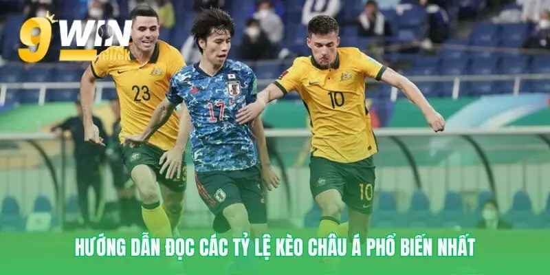 Phân tích các tỷ lệ của kèo châu Á