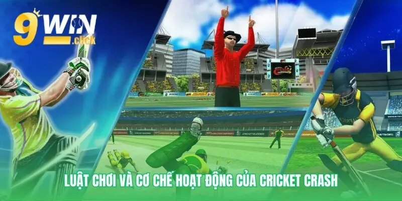 Tìm hiểu các quy tắc căn bản nhất