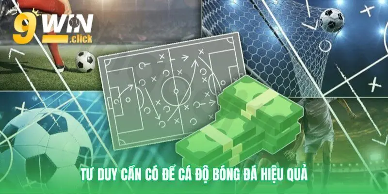 Xây dựng chiến lược cá độ bóng đá bền vững